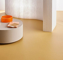 Forbo Marmoleum Decibel on Order 358735 curcuma фото 3 | FLOORDEALER